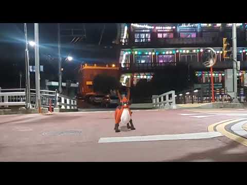 폭슬라이 ( Thievul ) フォクスライ ( 狐大盜 )  (16:9)