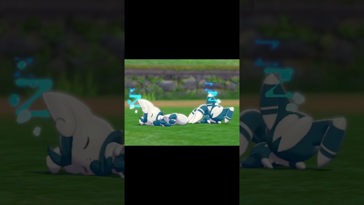 寝ているニャオニクス　#Shorts