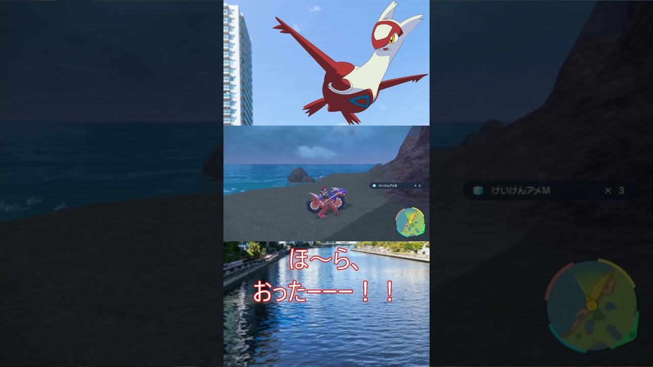 ラティアスを探せ！【ポケモンSV】#ポケットモンスタースカーレット#ポケットモンスターバイオレット #ポケモンsv #shorts