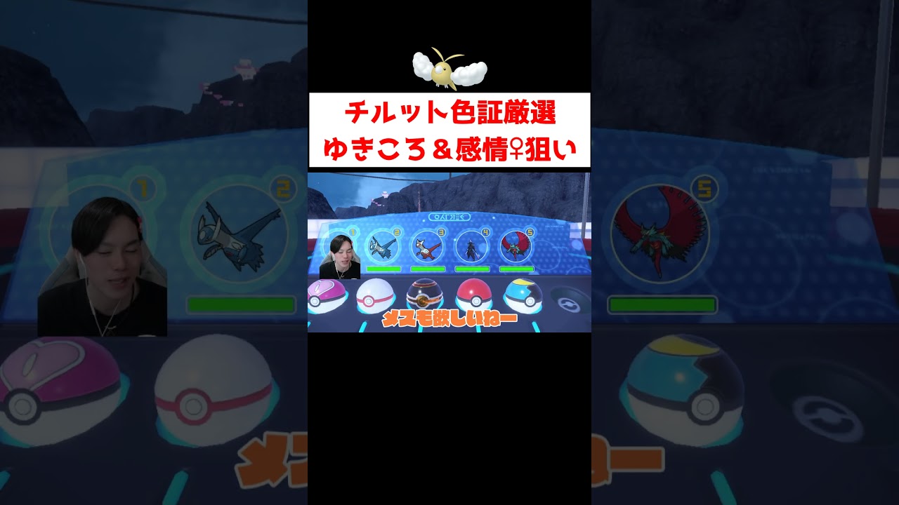 チルット色証厳選 #ゲーム実況 #ポケモン #ポケモンSV #shorts #チルット #色違い