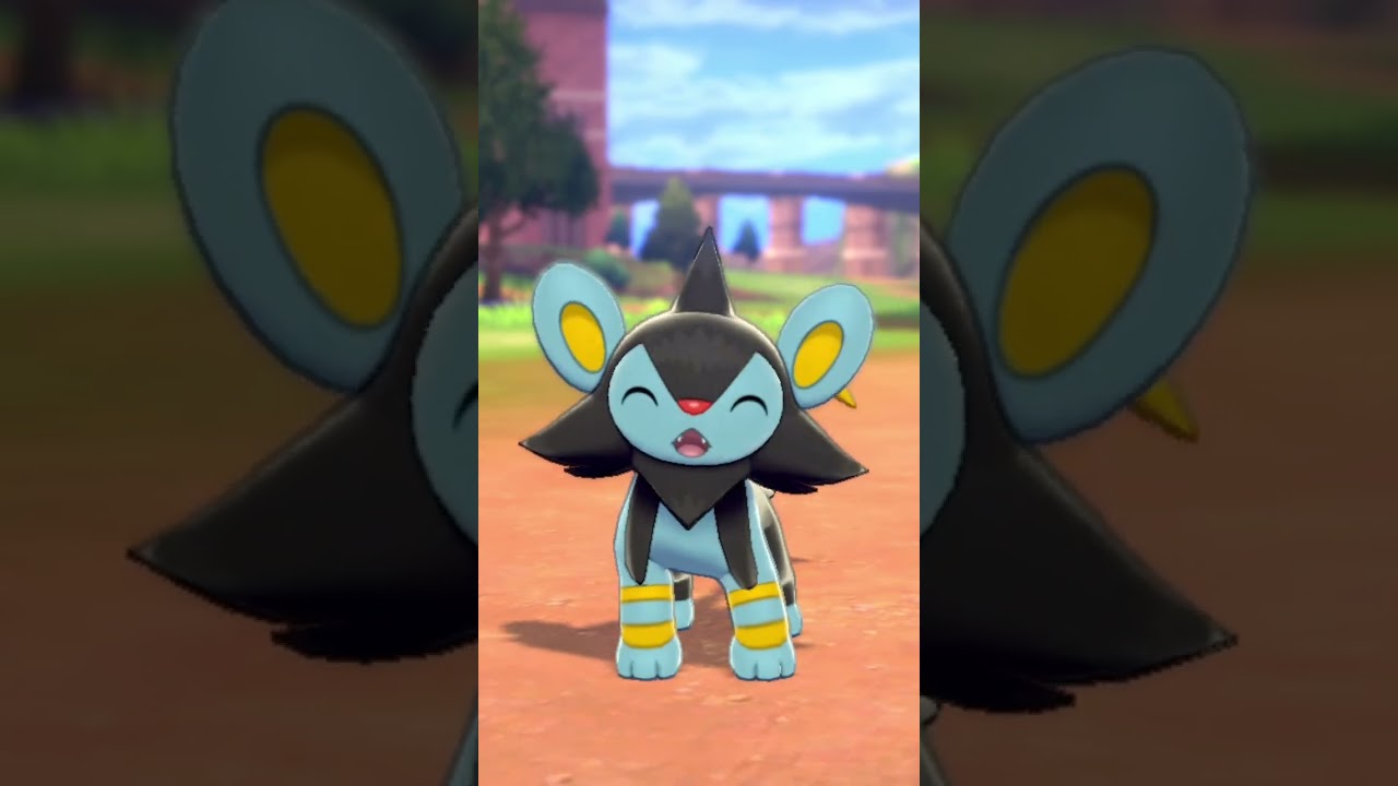 ルクシオ Luxio【ポケモン剣盾】