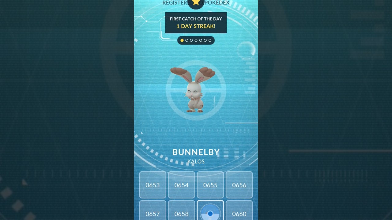 Pokémon Season 2 Catching Bunnelby