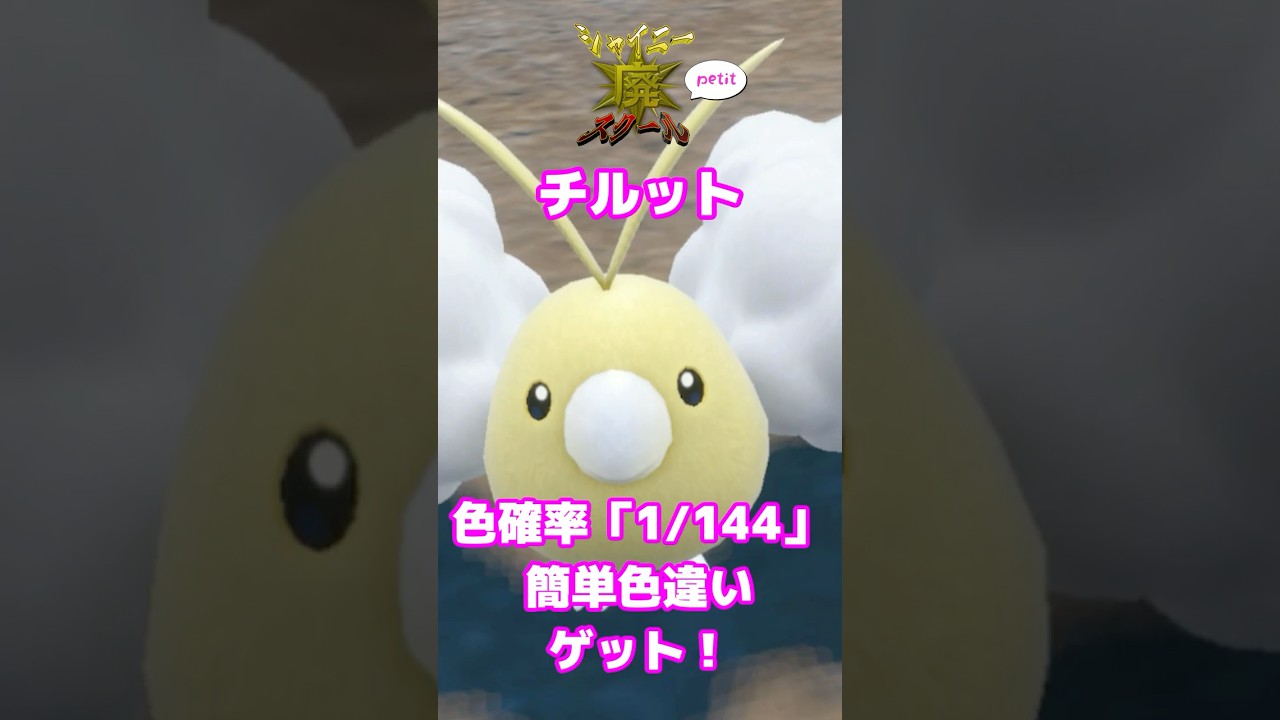 色違いチルット超簡単色違い厳選法！「1/144」の高確率でゲット！ #shorts  #ポケモンsv #色違いポケモン #チルット