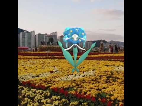 플라제스 ( Florges ) フラージェス ( 花潔夫人 )