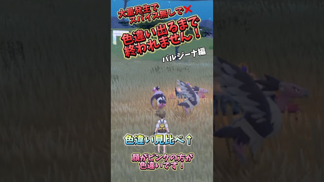 (ポケモンSV)色違い出るまで終われません！バルジーナ編！#ポケモンスカーレットバイオレット