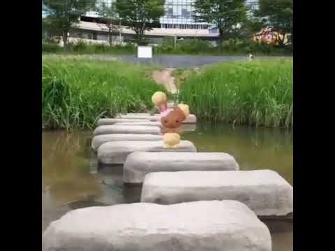 이어롤 ( Buneary ) ミミロル ( 捲捲耳 )