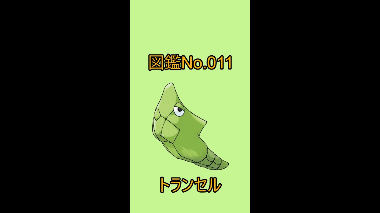 【ポケットモンスター】ポケモン図鑑じっくり解析シリーズ！ーNo.011トランセルー#Shorts