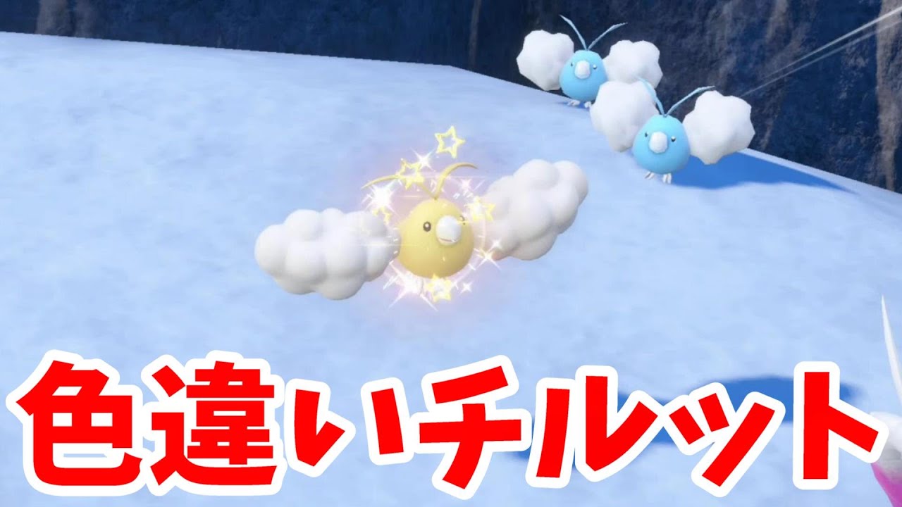 【ポケモンSV】色違いチルットかわいすぎ！特別なイベントで入手しよう【ポケモンスカーレットバイオレット・ゼロの秘宝】