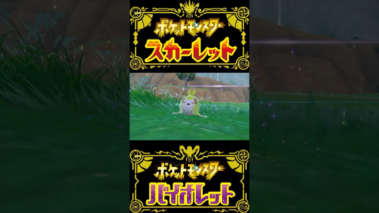 【ポケモンSV】フレボ入り色違いクルミル/クルマユ/ハハコモリ #shorts