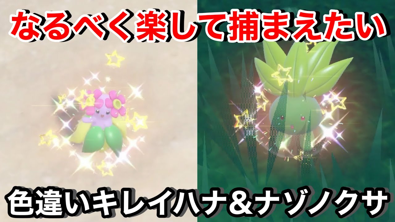 色違いキレイハナとラフレシアが見たい！【ポケモンSV】