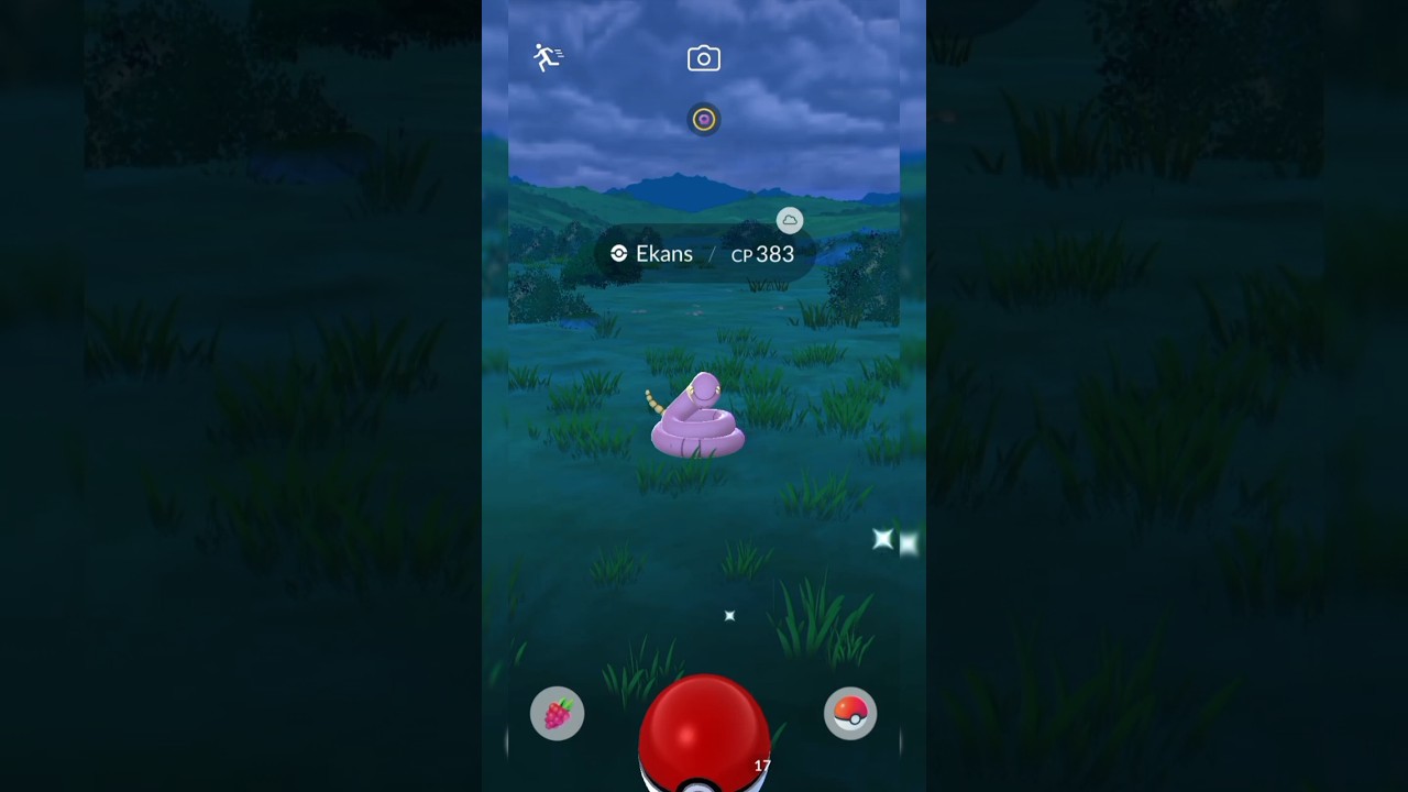 Catching a Ekans pokemon who has 383cp in the nature #pokemongo #pokemon