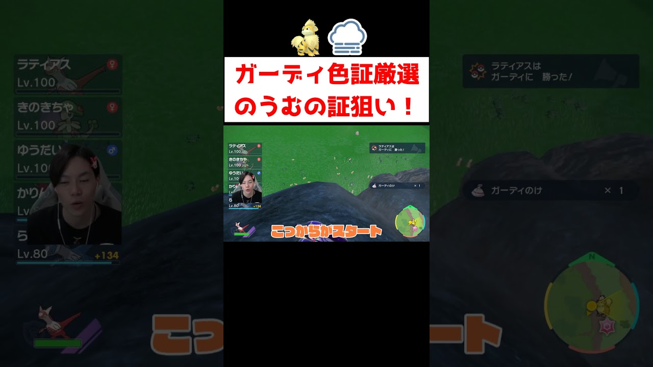 『のうむの証』ガーディ色証厳選 #ゲーム実況 #shorts #ポケモン #ポケモンSV #ガーディ #色違い