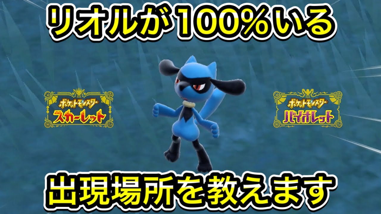 【ポケモンSV】リオルが100%いる出現場所を教えます！