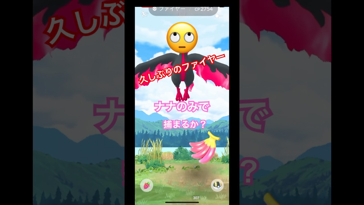 久しぶりのガラルファイヤーナナのみで捕まるかやってみた🤣