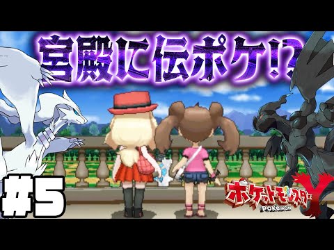 #5【パルファム宮殿にレシラムとゼクロムが!?】カビゴンを起こすポケモンのふえをさがすぞ【ポケットモンスターY実況】