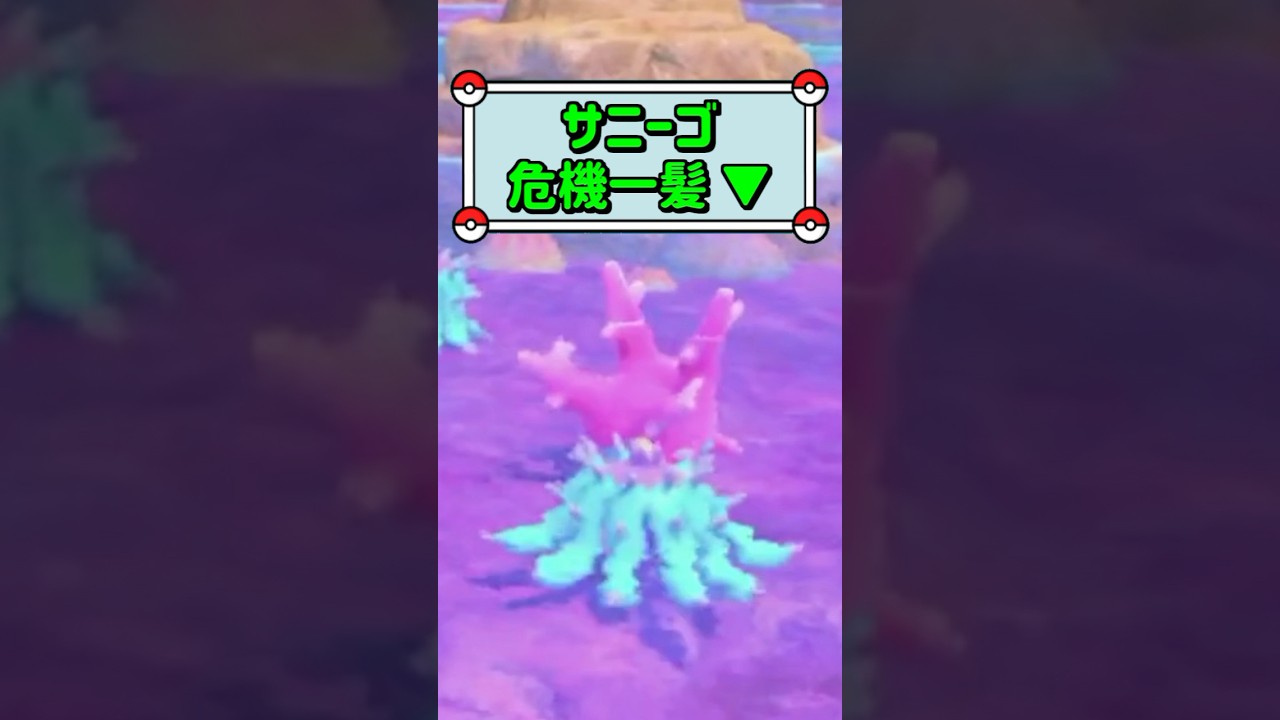 「サニーゴ危機一髪 ▼」　#ポケモン　#ポケモンスナップ　#ポケスナ　#shorts