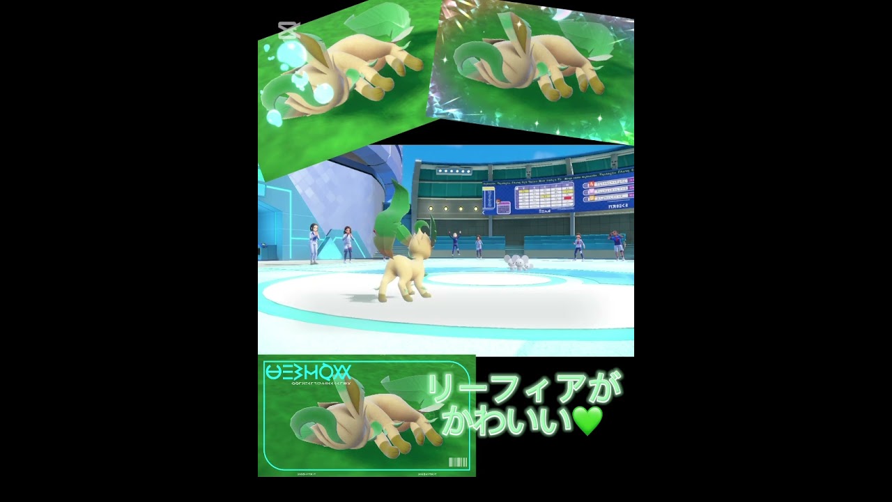 リーフィアと安らかに死が決まっているネズミさんを見守る動画#ポケモンsv #リーフィア #イッカネズミ #ゴツゴツメット