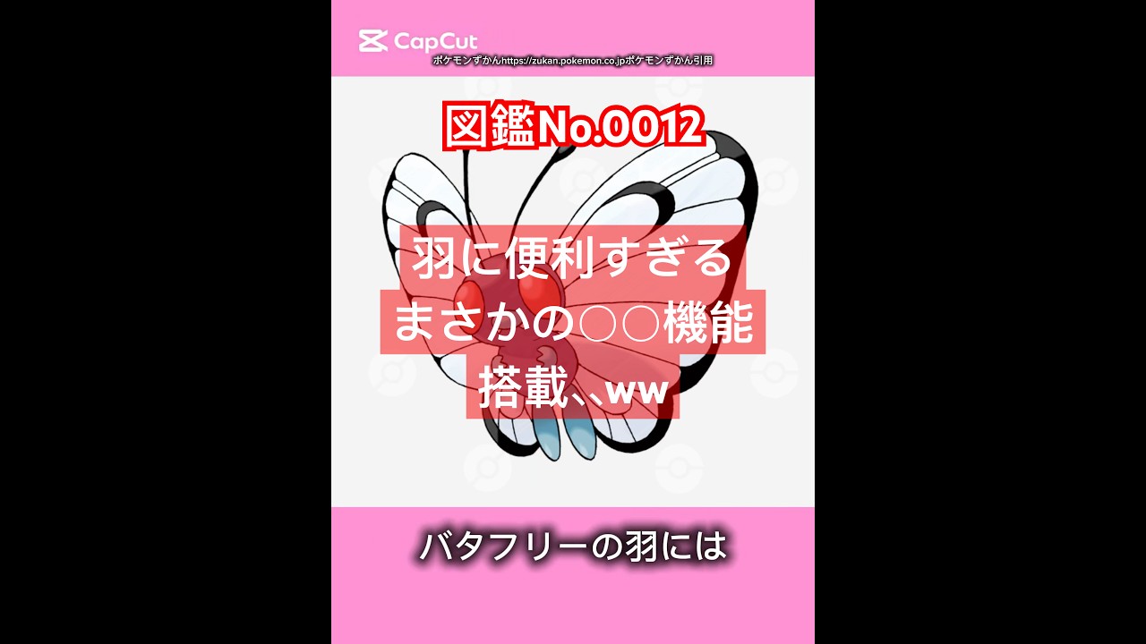 ポケモン雑学【バタフリー】#ポケモン #pokemon #pokémon #ポケポケ #ポケモンgo   #ポケモン雑学 #ポケモンカード #ポケモンsv #anime  #japan #バタフリー