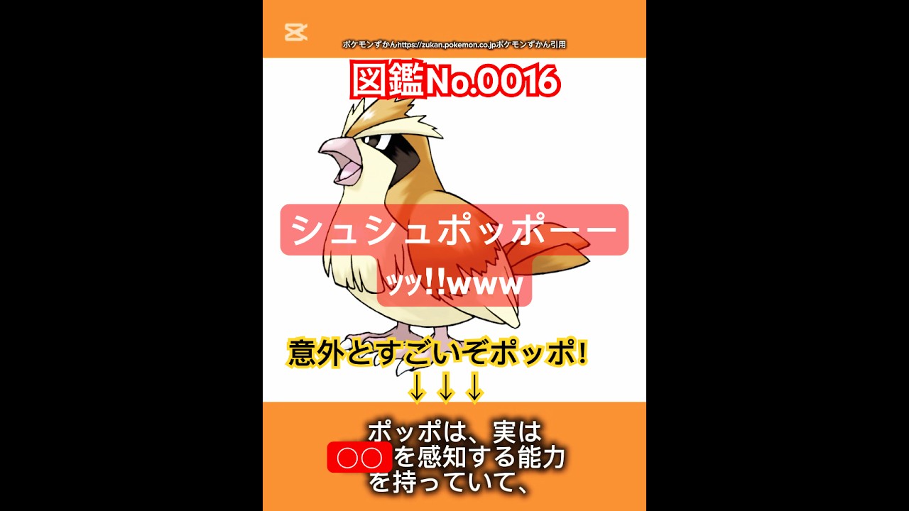 ポケモン雑学【ポッポ】#ポケモン #pokemon #pokémon #ポケポケ #ポケモンgo   #ポケモン雑学 #ポケモンカード #ポケモンsv #anime  #japan #ポッポ #鳩