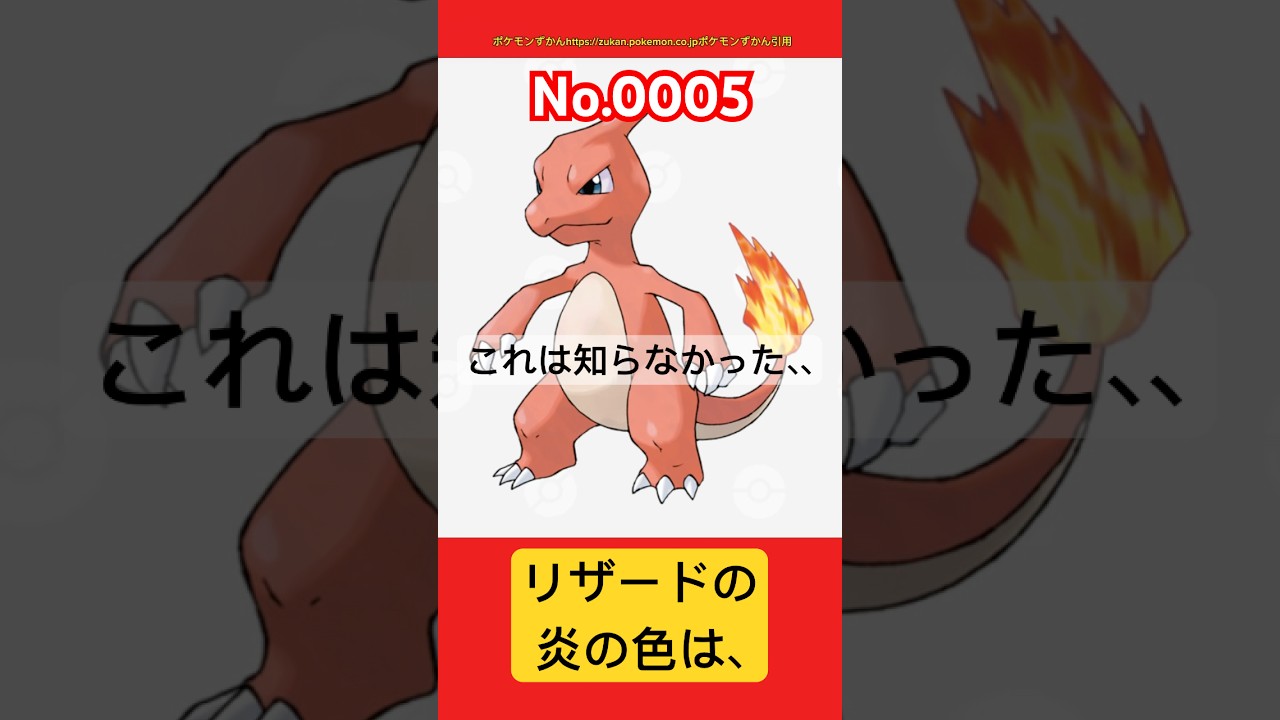 ポケモン雑学【リザード】#リザード #炎タイプ #ポケモン #pokemon #pokémon #ポケポケ #ポケモンgo   #ポケモン雑学 #ポケモンカード #ポケモンsv #ポケモンカード