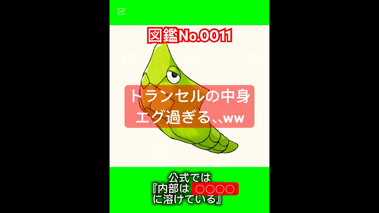 ポケモン雑学【トランセル】#ポケモン #pokemon #pokémon #ポケポケ #ポケモンgo   #ポケモン雑学 #ポケモンカード #ポケモンsv #anime  #japan #トランセル