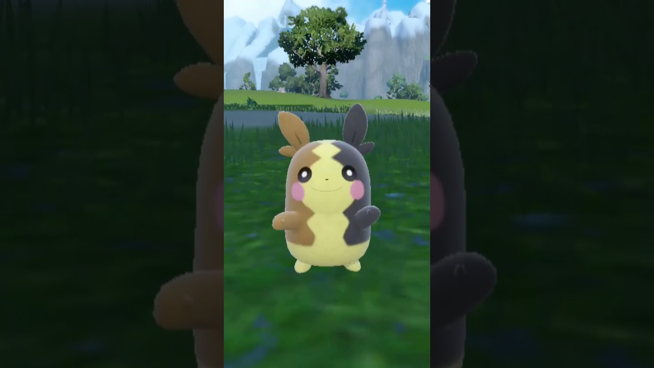 モルペコ Morpeko【ポケモンsv】