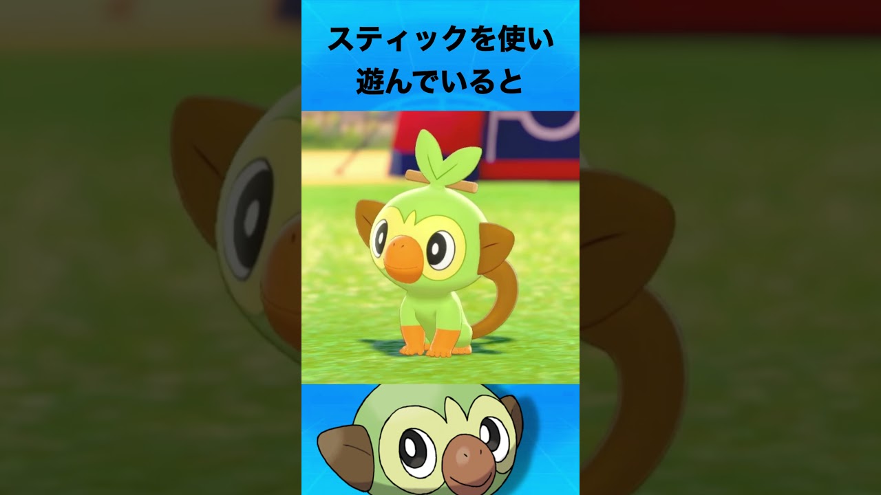 サルノリについて #ポケモン #サルノリ #御三家