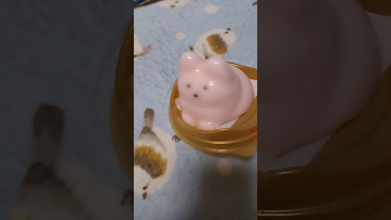 ねこぷりんがぷるぷるするだけ【いちご味】 #ねこぷりん　#猫　#ねこ　#スイーツ　#プリン　#かわいい　#可愛い