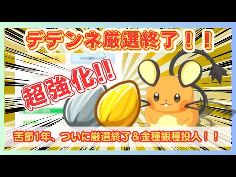 【無課金】料理ガチ勢が選んだ最強のデデンネがこちら！！初の種使用！！【ポケモンスリープ】社畜OLの無課金ゲーム実況攻略記202505