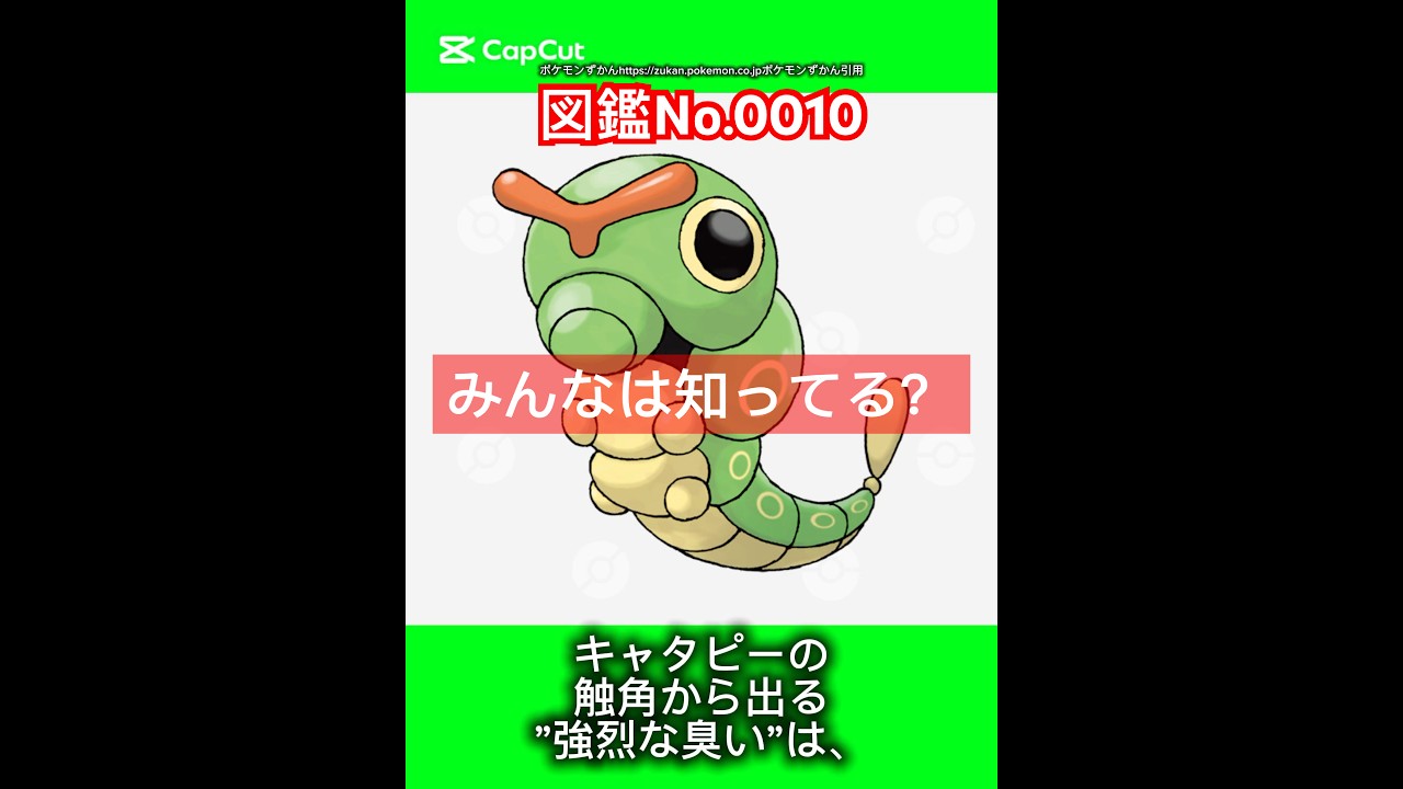 ポケモン雑学【キャタピー】#ポケモン #pokemon #pokémon #ポケポケ #ポケモンgo   #ポケモン雑学 #ポケモンカード #ポケモンsv #anime  #japan #キャタピー