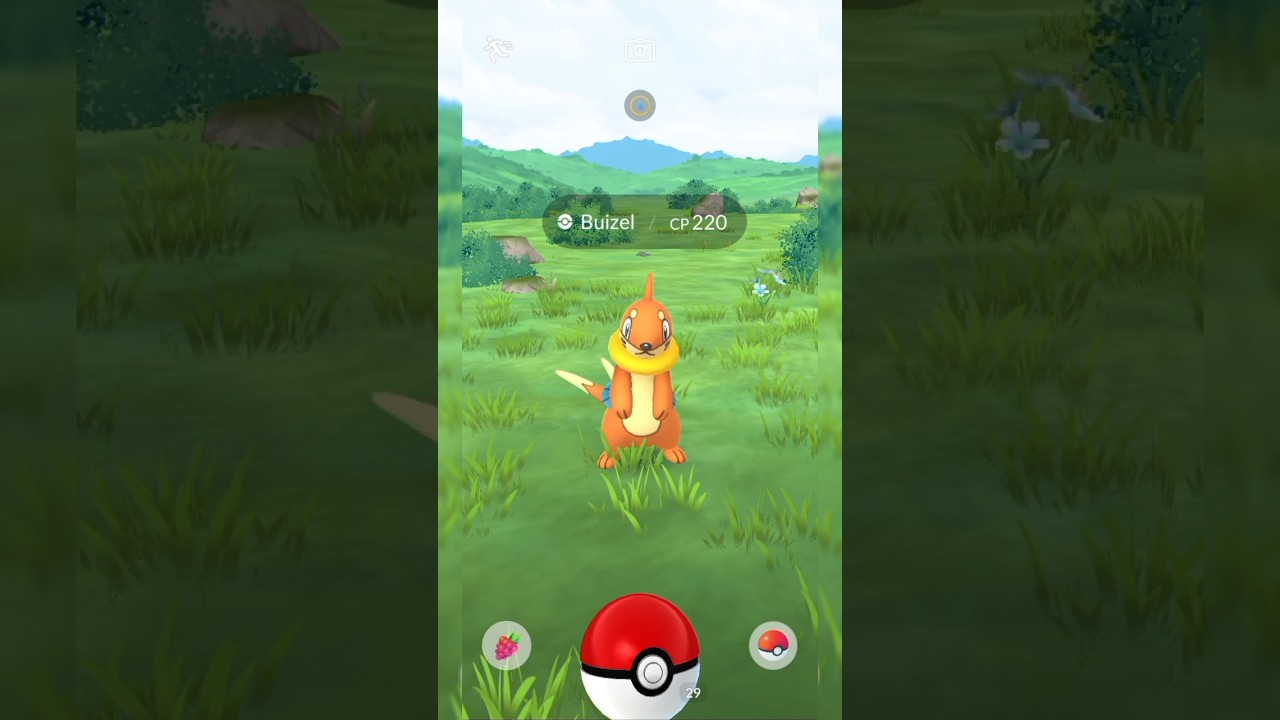Catching a Buizel pokemin that has 220cp in the nature #pokemon #pokemongo