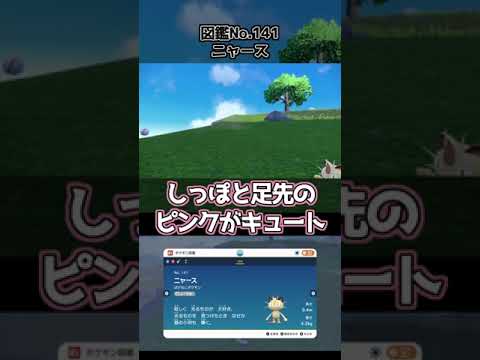 【ポケモンSV】ニャースと言えば、アニポケEDのニャースのうた。【本日の色違い】　#Shorts