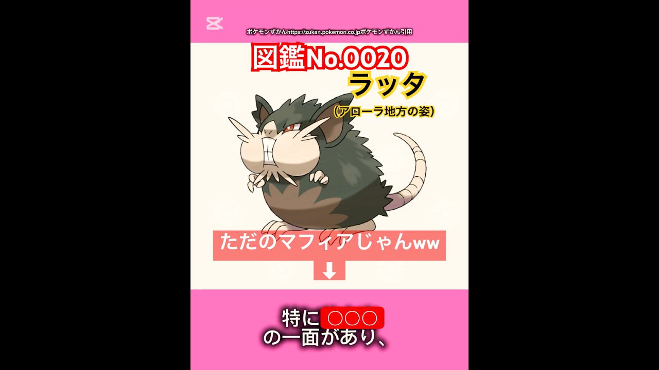 ポケモン雑学【ラッタ（アローラ地方の姿）】#ポケモン #pokémon #pokemon #ポケモンsv #pokemongo #JAPAN #japanese #ラッタ #ポケポケ #ポケモンカード