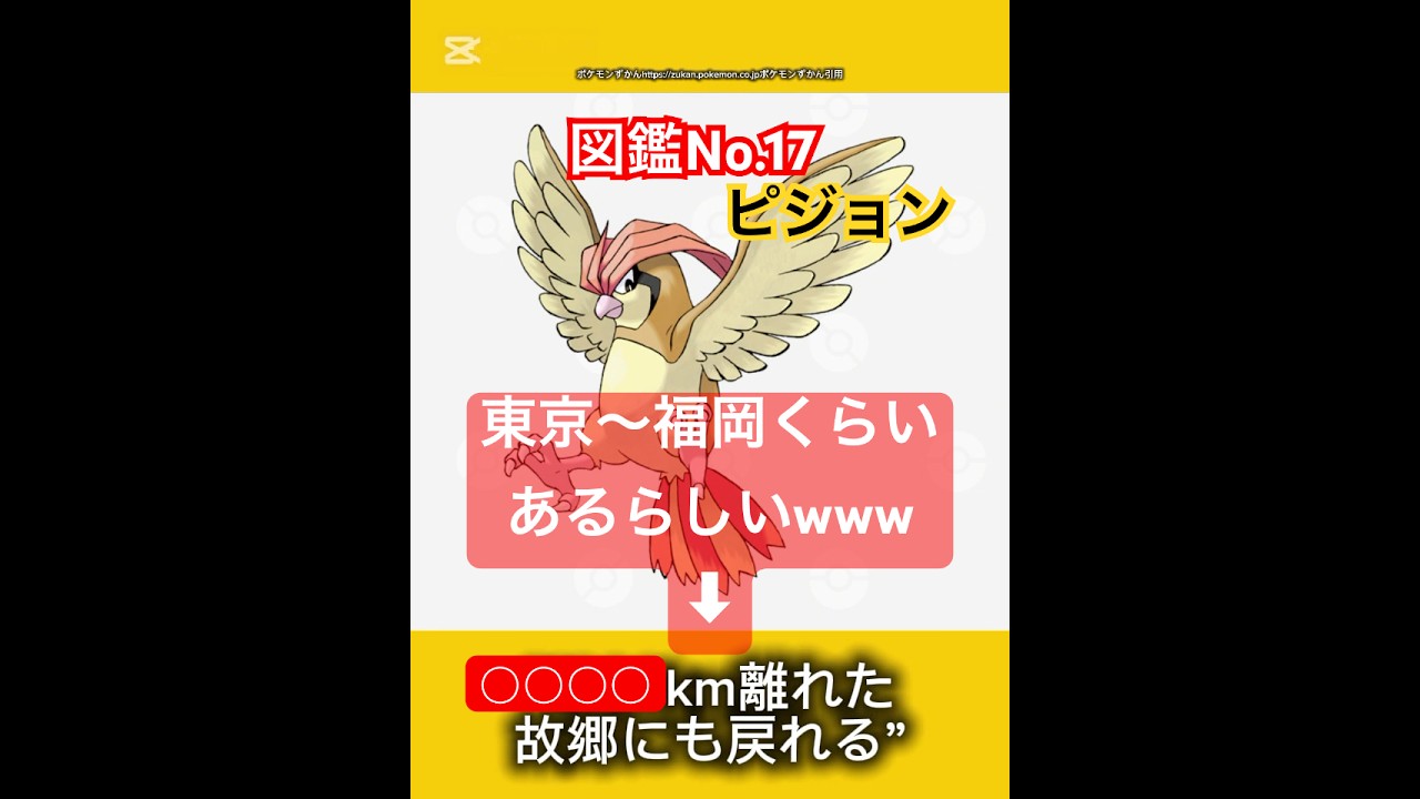 ポケモン雑学【ピジョン】#ポケモン #pokémon #pokemon #ポケモンsv #pokemongo #JAPAN #japanese #ポケモン赤緑 #ポケポケ #ポケモンカード #ピジョン