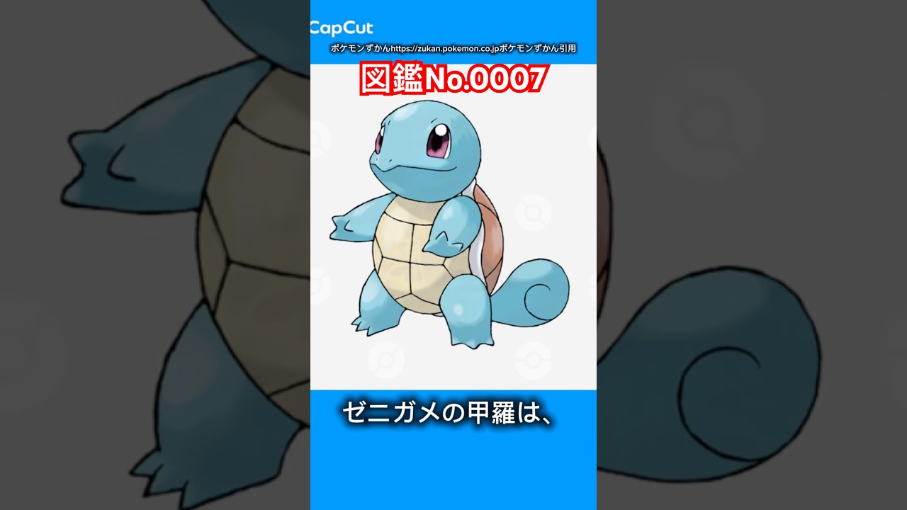 ポケモン雑学【ゼニガメ】#ポケモン #pokemon #pokémon #ポケポケ #ポケモンgo   #ポケモン雑学 #ポケモンカード #ポケモンsv #ポケモン赤緑 #御三家 #ゼニガメ