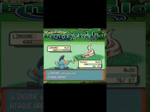 Linoone #pokemon #nintendo #humor #shorts #short   #juegos #pokemonesmeralda #gaming #gamefreak