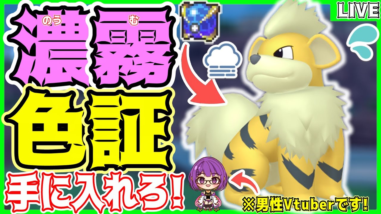 【ポケモンSV】初見さん大歓迎✨緊急ミッション!!濃霧の色証"ガーディ"を探せ‼️【色ガーディ/ウルボ/#色違い厳選 】