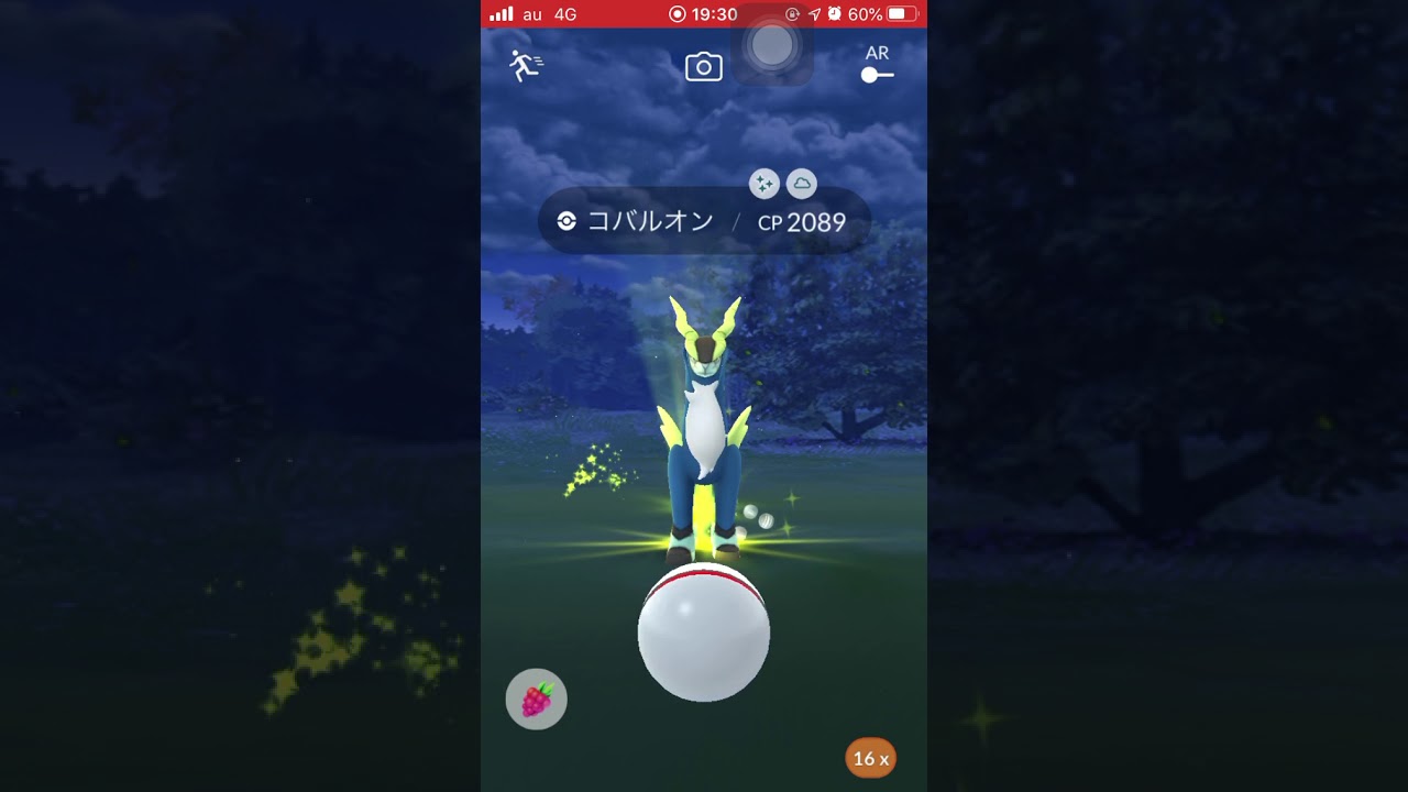 色違いコバルオンゲット！