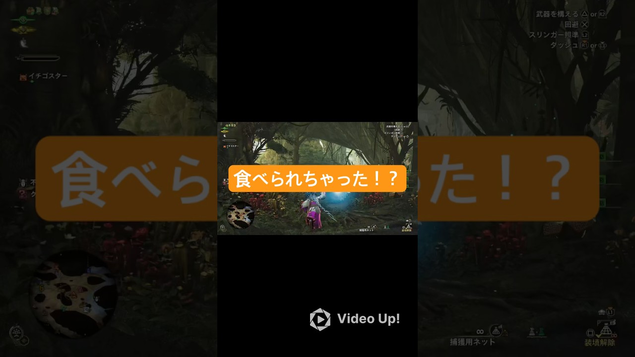 オトモがクイーンラフレシアに…#モンスターハンターワイルズ#MHWILDS#モンハン参加型