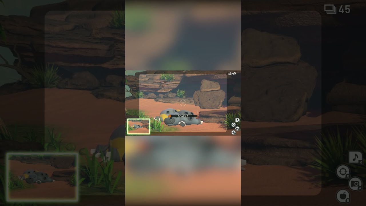 【Newポケモンスナップ NEW POKÉMON SNAP】カバルドンのお昼寝 #shorts