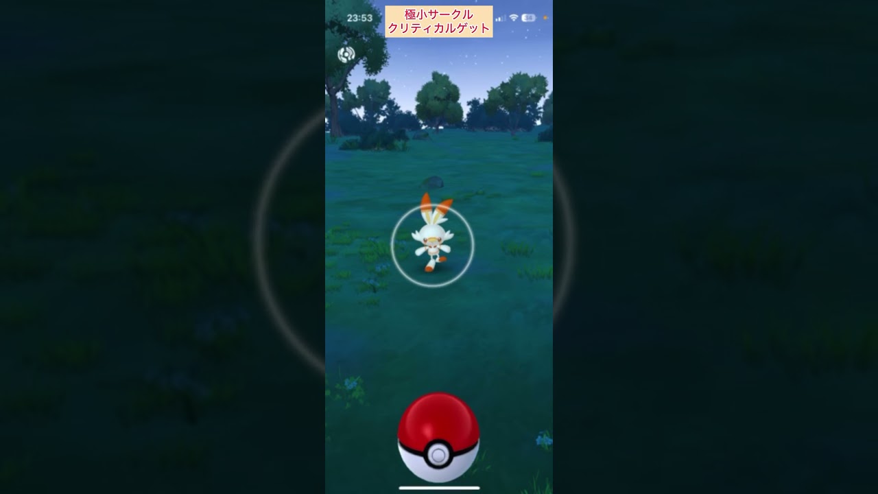 【難易度中】ヒバニー極小サークルクリティカルゲット【ポケモンGO】