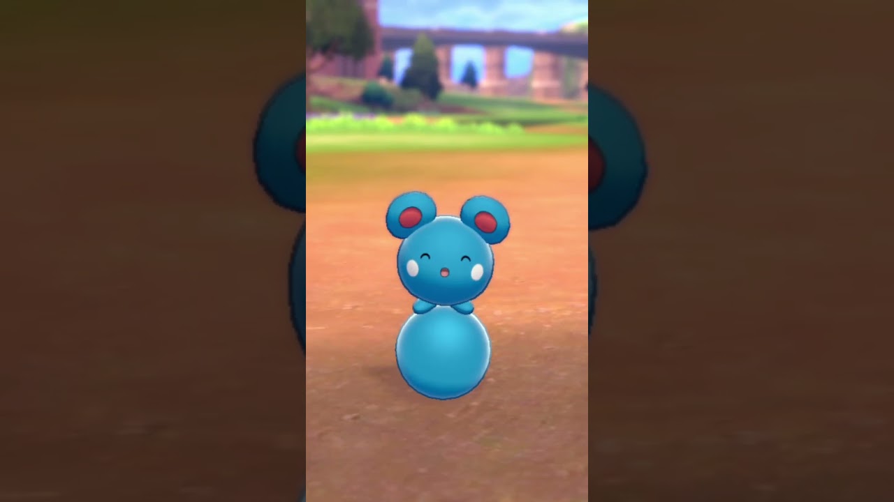 ルリリ Azurill【ポケモン剣盾】
