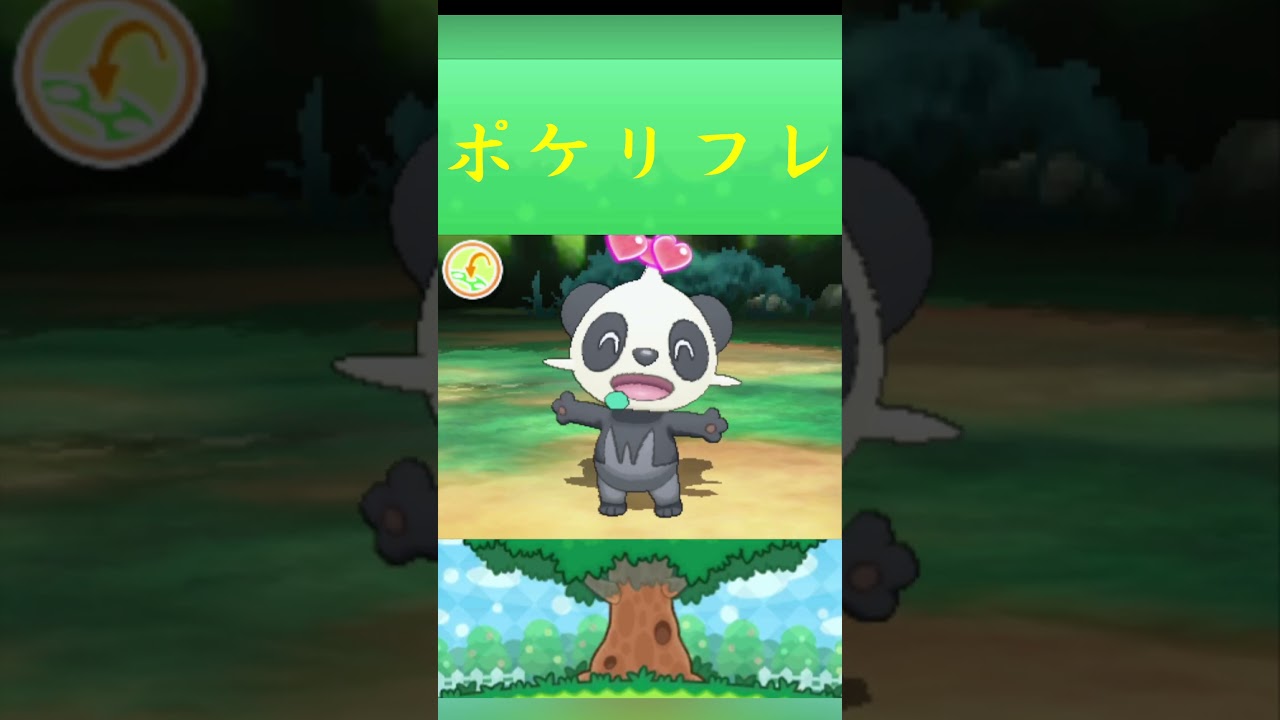 ポケモン ヤンチャム  ポケリフレ ポケパルレ #ポケモン #Pokemon  #3DS #ポケモン技 #ポケモンsv #ポケモン #ふれあい #キャンプ #カレー #サンドイッチ #ピクニック