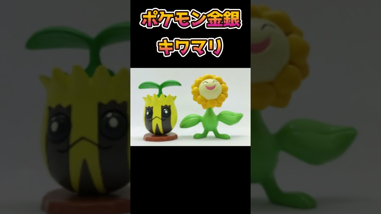 【ポケモン】第2世代の頃のキマワリがつらい・・・【ポケットモンスター】【ポケモンSV】#shorts