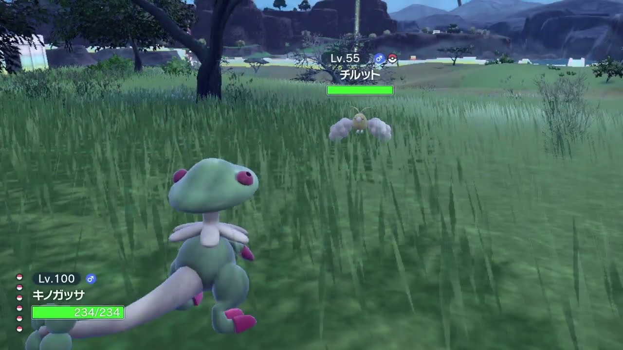 【ポケモンSV : 大量発生イベント】チルットの色違い。