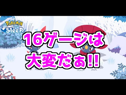 【ポケモンスリープ/Pokemon Sleep】久しぶりのウノハナ雪原‼ ニューラの厳選頑張りますか‼ #412【ポケスリ】