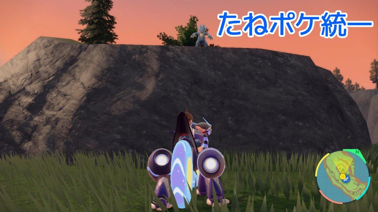 ハイボ級いけた！