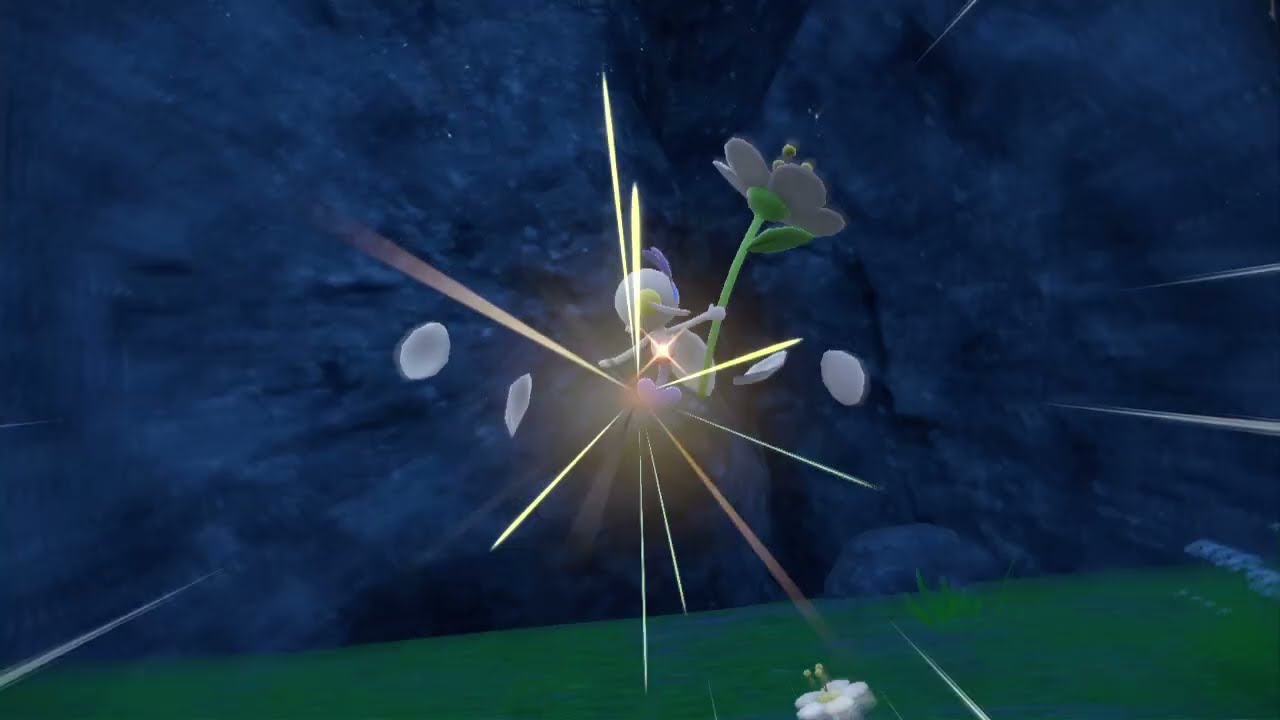 エリアゼロ　フラエッテ　色違い