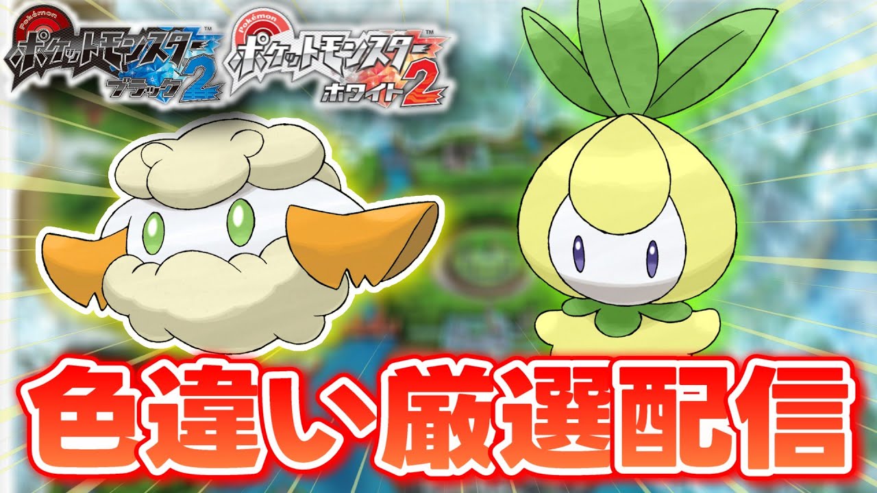 【ポケモンBW2】色違いしか使ってはいけない色違い縛り実況 モンメンorチュリネ編 0~【生配信】