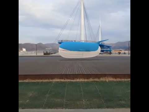 고래왕 ( Wailord ) ホエルオー ( 吼鯨王 )